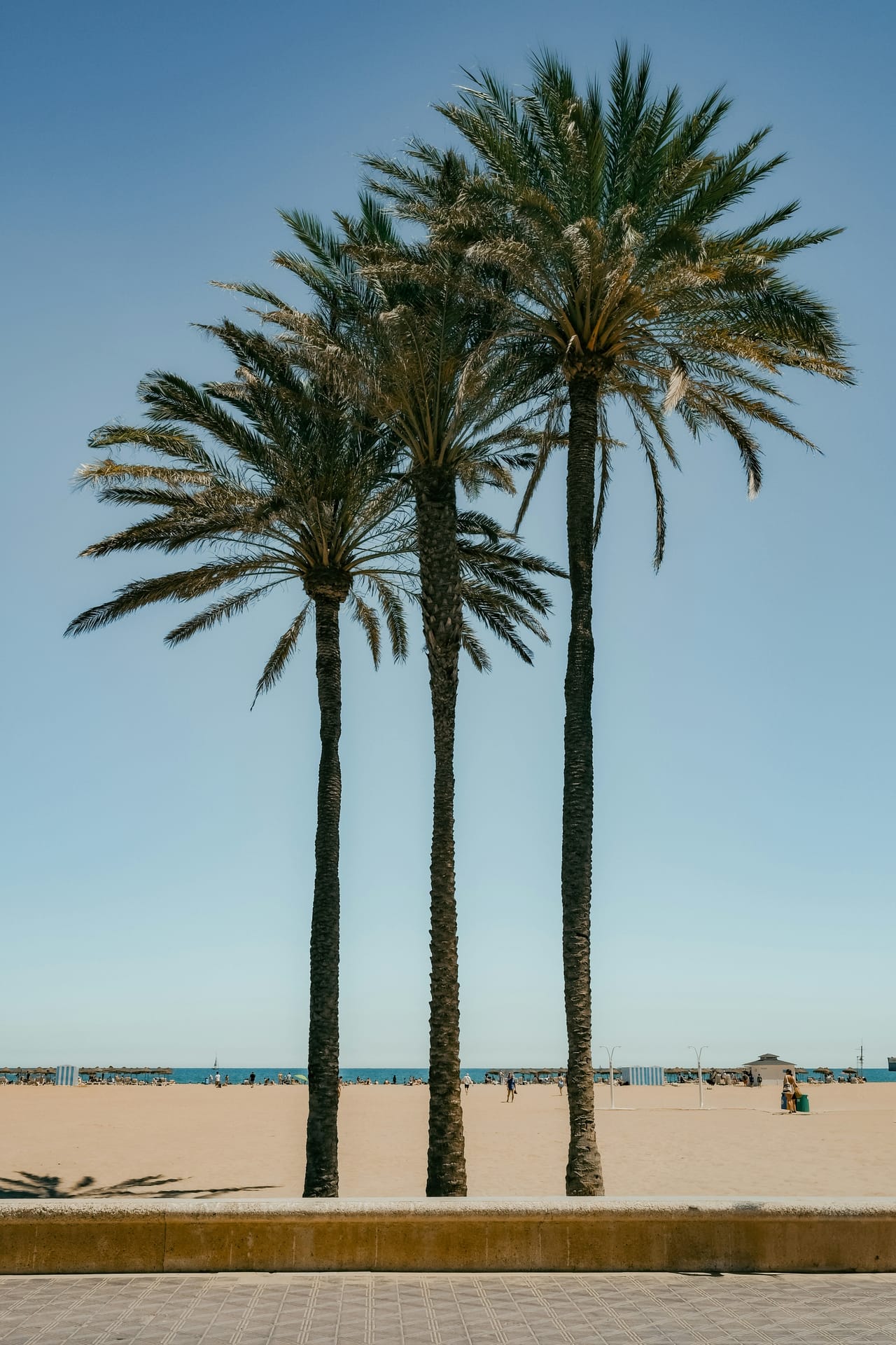 Playa y dunas de Canet d'En Berenguer cerca de Valencia